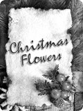 christmas_flower_donations_0010