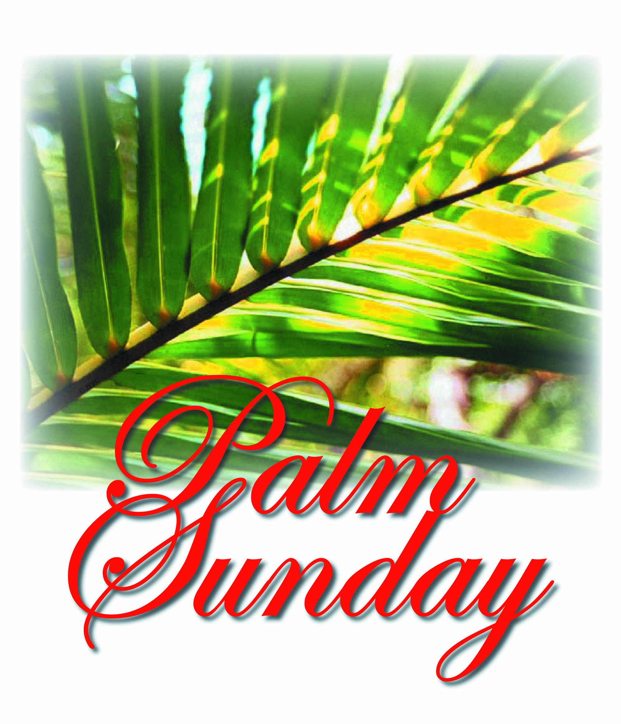Holiday Covers Palm Sunday John Patrick Publishing Company