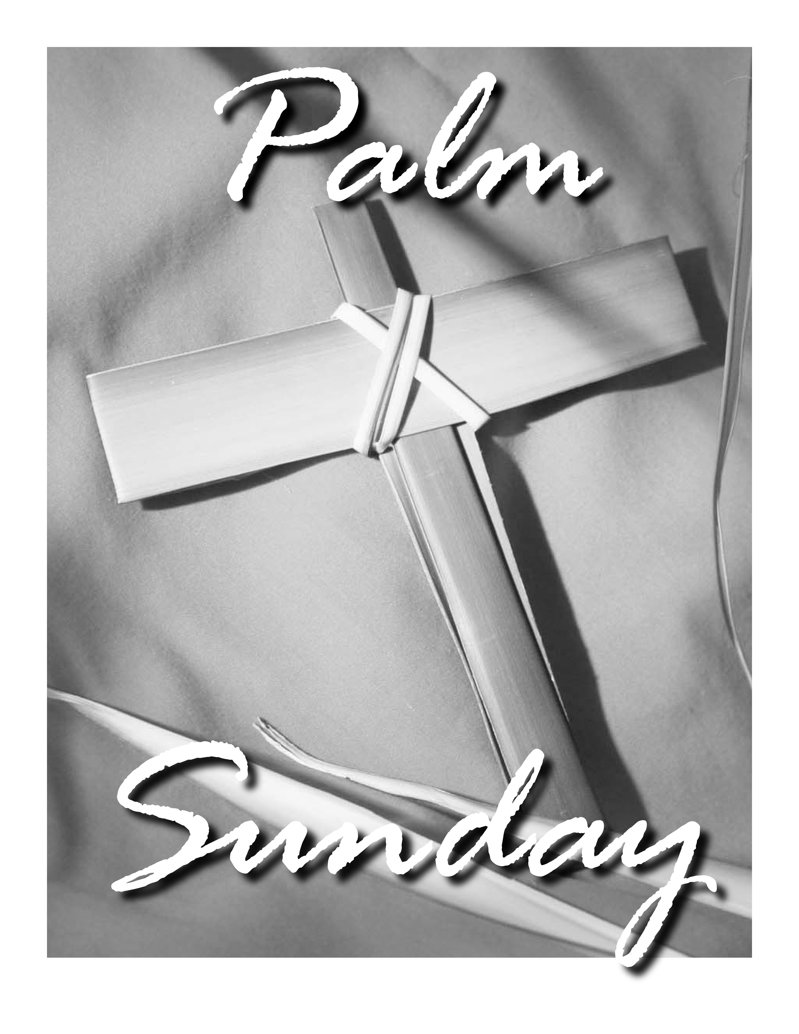 Holiday Covers Palm Sunday John Patrick Publishing Company