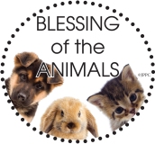 Blessing of the Animals_0011