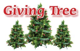Giving-tree_0019